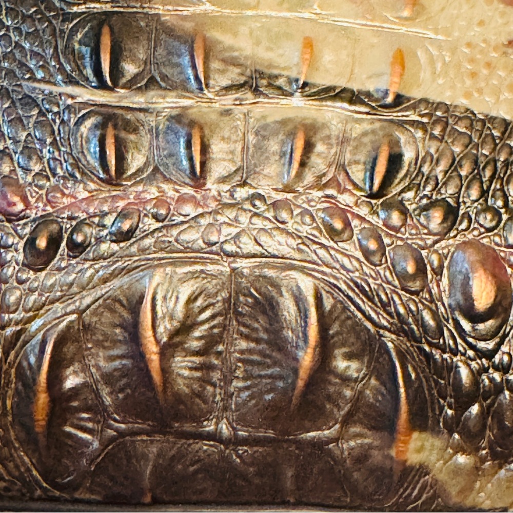 RARE COLOR! Brahmin Genuine Leather Croc Embossed Mini Asher in Muse Melbourne! - Picture 5 of 16